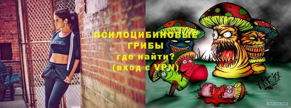 ECSTASY Баксан