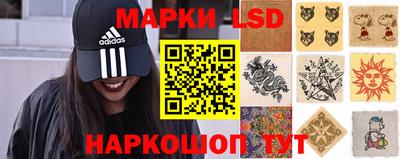 прущие грибы Будённовск